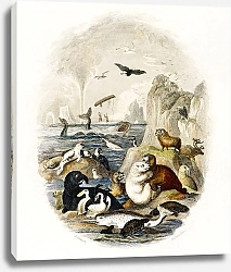 Постер Животные севера из истории земли и живой природы (1820)