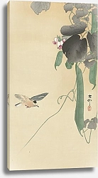 Постер Косон Охара Bird at flowering bean plant