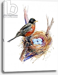 Постер Килинг Джон (совр) Robin with nest;2016,