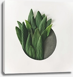 Постер Круг с зелеными сочными листьями