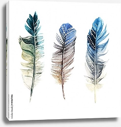 Постер Акварельные перья с орнаментами
