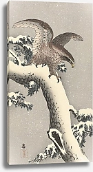 Постер Косон Охара Eagle on snowy pine tree