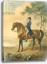Постер Стаббс Джордж Warren Hastings on his Arabian Horse, 1796