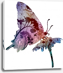 Постер Бабочка 7