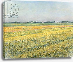 Постер Кайботт Гюстав (Gustave Caillebotte) The Plain of Gennevilliers, Yellow Fields; La plaine de Gennevilliers, champs jaunes, 1884