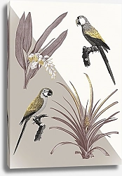 Постер Тропическая коллекция с винтажными иллюстрациями цветов и попугаев