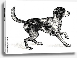 Постер Ретро иллюстрация с охотничьей собакой