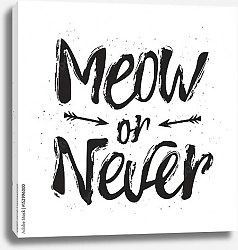 Постер Meow or never