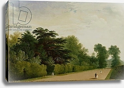 Постер Мартин Джон Kensington Gardens, 1815