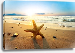 Постер Морская звезда на песке