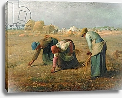Постер Милле, Жан-Франсуа The Gleaners, 1857