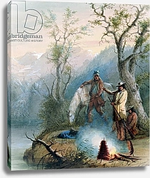 Постер Миллер Якоб Альфред Roasting the Hump Rib, 1837