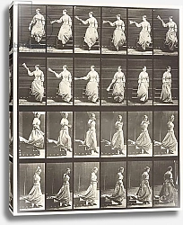 Постер Муйбридж Идвеард Plate 140. Descending Stairs Looking Around and Waving Fan, 1885