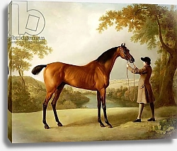 Постер Стаббс Джордж Tristram Shandy, a Bay Racehorse Held by a Groom in an Extensive Landscape, c.1760