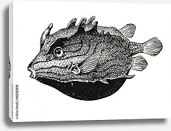 Постер Ретро-иллюстрация с морской рыбой