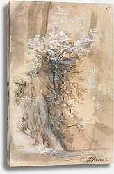 Постер Бароччи Федерико Flowering Bush above an Eroded Bank