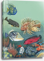 Постер Школа: Английская 20в. Tropical fish
