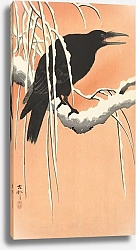 Постер Косон Охара Crow on snowy branch