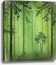 Постер Зеленый туманный лес