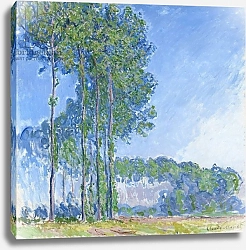 Постер Моне Клод (Claude Monet) Poplars, 1891