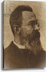 Постер Portrait of Nikolai Rimsky-Korsakov 1