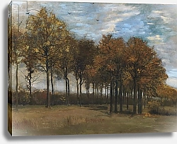 Постер Ван Гог Винсент (Vincent Van Gogh) Autumn Landscape, c.1885