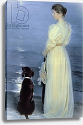 Постер Кройер Севрин Summer Evening at Skagen, the Artist's Wife with a Dog on the Beach, 1892