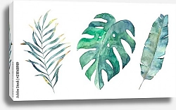 Постер Набор акварельных тропических листьев