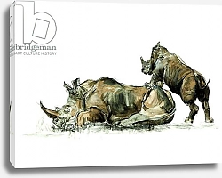 Постер Сандерс Франческа (совр) Rhino mother and calf, 2012,