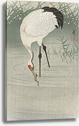 Постер Косон Охара Fishing crane in shallow water