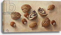 Постер Анжелини Кристиана (совр) Walnuts and Hazelnuts, 2014
