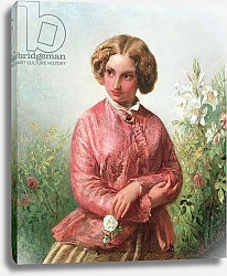 Постер Саломон Абрахам Portrait of a young girl with a rose