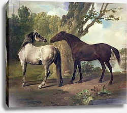 Постер Стаббс Джордж Two Horses in a landscape