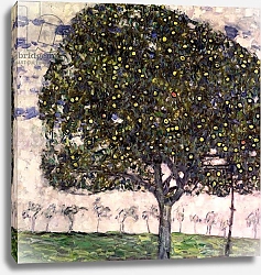 Постер Климт Густав (Gustav Klimt) The Apple Tree II, 1916