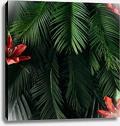 Постер Зеленые пальмовые листья и красные цветы