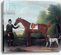 Постер Сеймур Джеймс Lord Portman's 'Snap' held by groom with dog