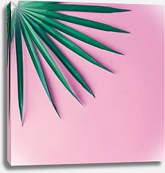 Постер Тропические листья на пастельном розовом фоне 