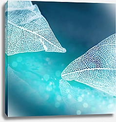 Постер Белые прозрачные листья на голубом фоне