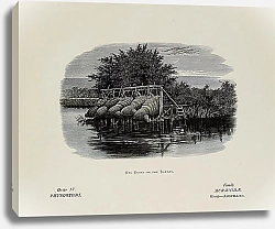 Постер Eel Bucks on the Thames