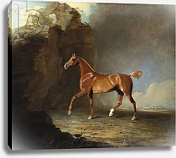 Постер Маршалл Бенджамин A Golden Chestnut Racehorse by a Rock Formation, 1800