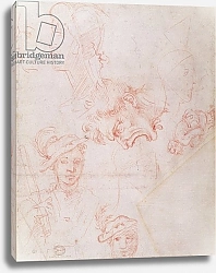 Постер Микеланджело (Michelangelo Buonarroti) Studies of heads, 1508-12d