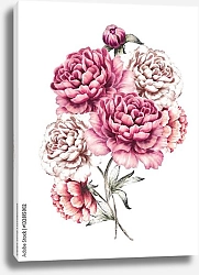 Постер Букет розовых пионов на белом 