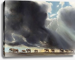 Постер Сандерс Франческа (совр) Elephant in storm, 2014