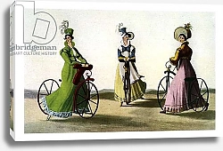 Постер Картины Hobbyhorses for ladies