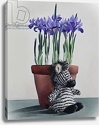 Постер Рэйленд Кристофер (совр) Winter Irises and Zebra
