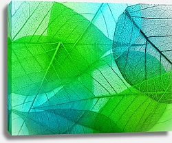 Постер Прозрачные зелено-голубые листья