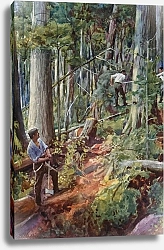 Постер Коппинг Харольд Lumbering in British Colombia