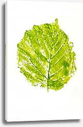 Постер Зеленый отпечаток березового листа