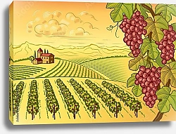 Постер Vineyard valley landscape
