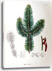 Постер Флора Японии №102